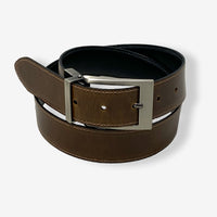 Belt Reversible
