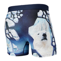 PolarB29
