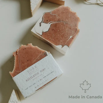 Mistletoe Soap Bar